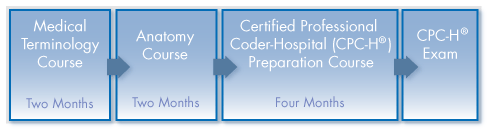 Complete Outpatient Hospital Coding Education